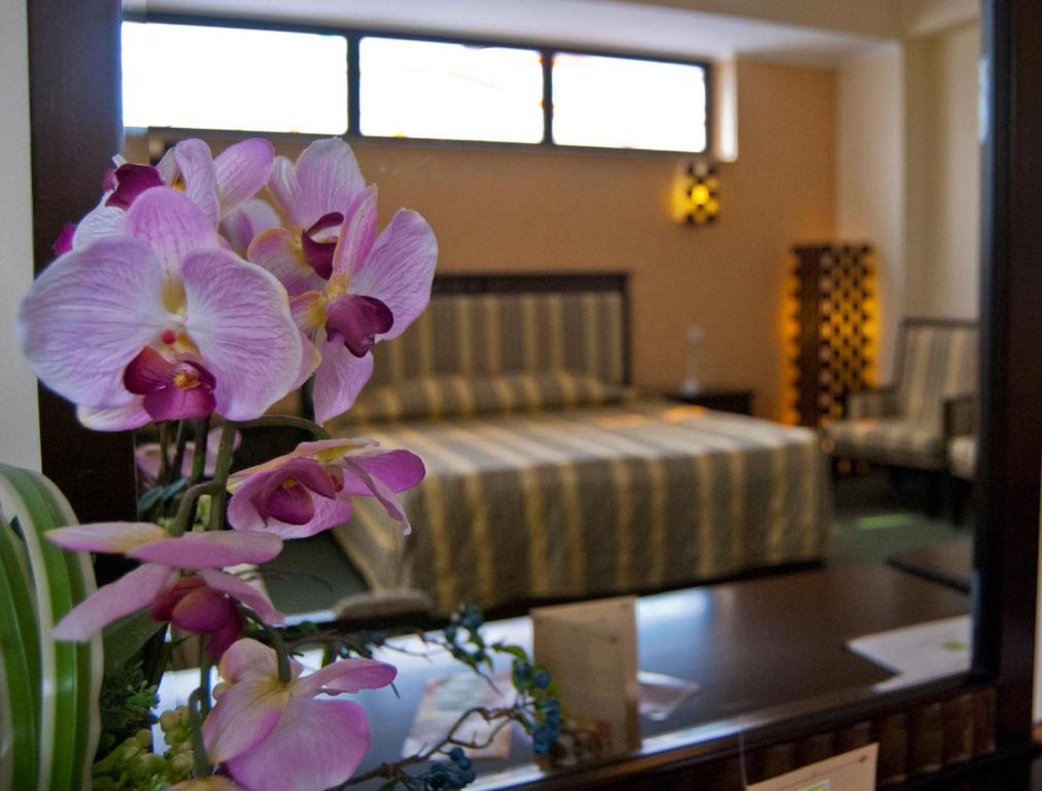 Hotel Tecadra Pipera Экстерьер фото